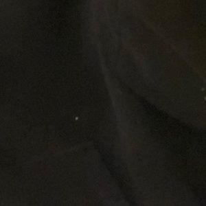 Meet your Posher, Ashton